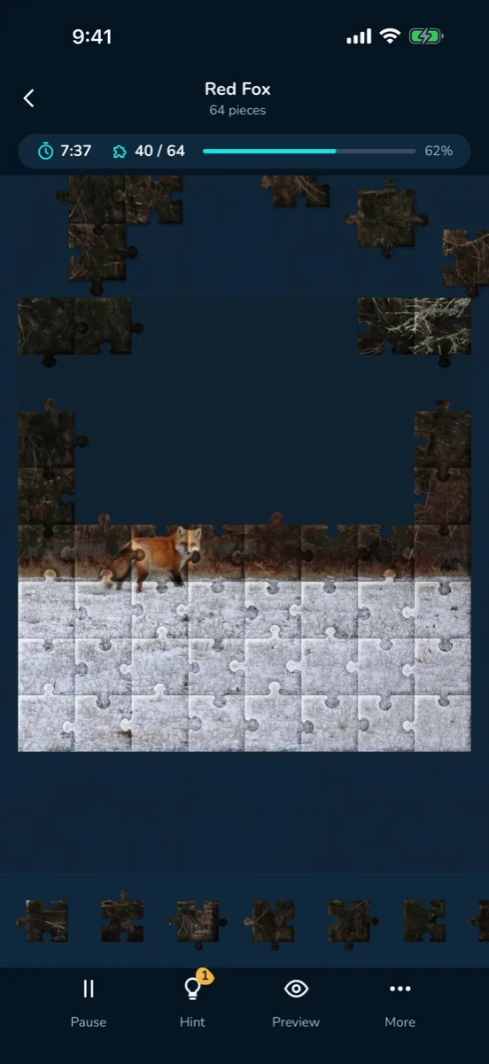 Game screen: the Red Fox puzzle at 40 of 64 pieces with the stats card and the bottom toolbar.